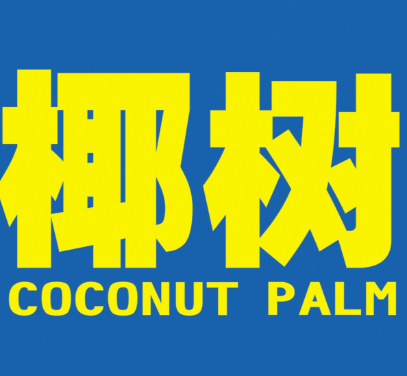 椰树椰汁饮料