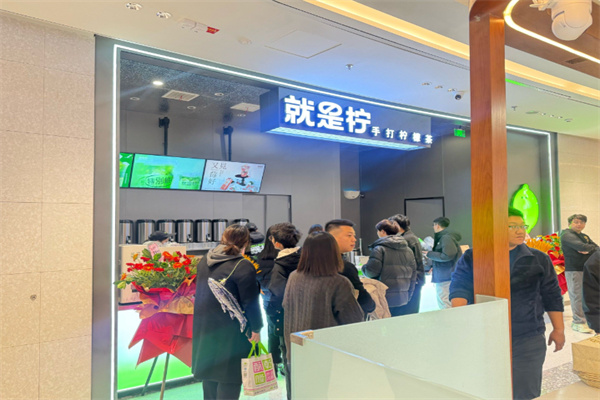 【Yes Lemon就是柠手打柠檬】