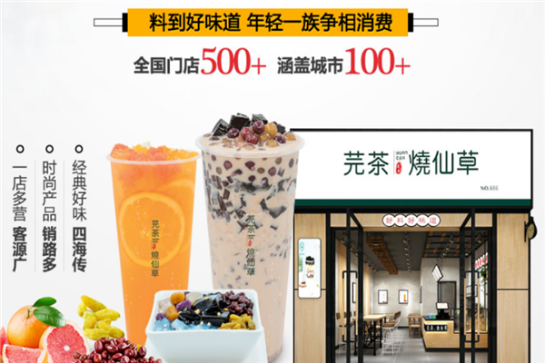 【芫茶烧仙草】