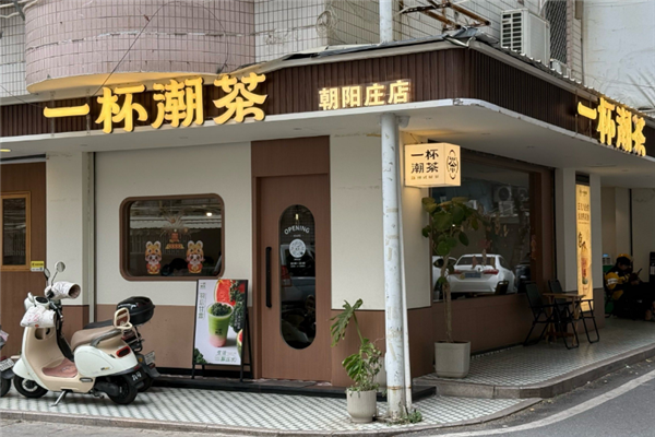 一杯潮茶 一杯潮茶