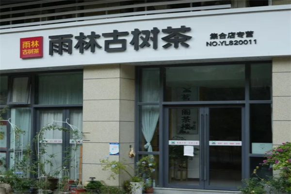 【雨林古树茶】