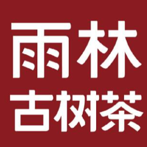 雨林古树茶
