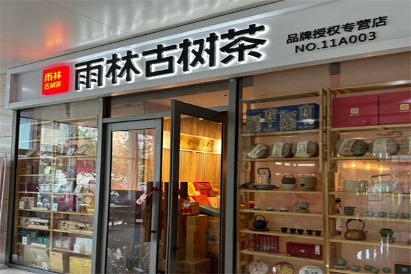 【雨林古树茶】