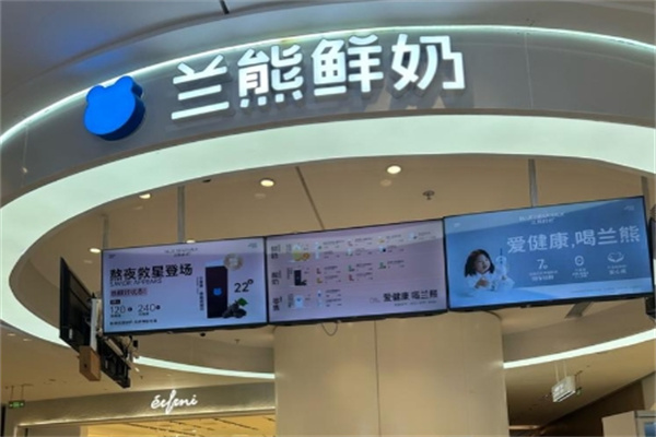 蓝熊奶茶 蓝熊奶茶