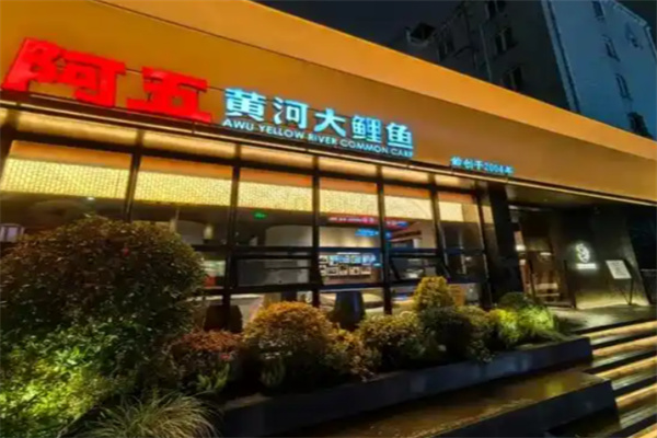 阿五黄河大鲤鱼