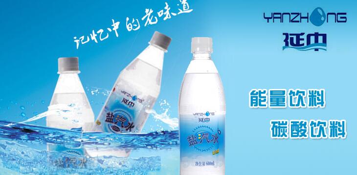 延中盐汽水