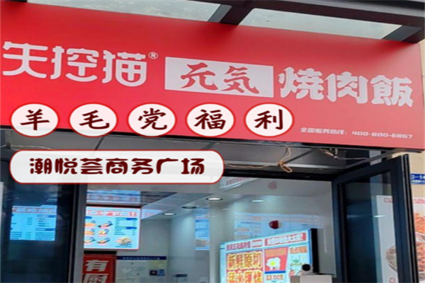 失控猫元气烧肉饭