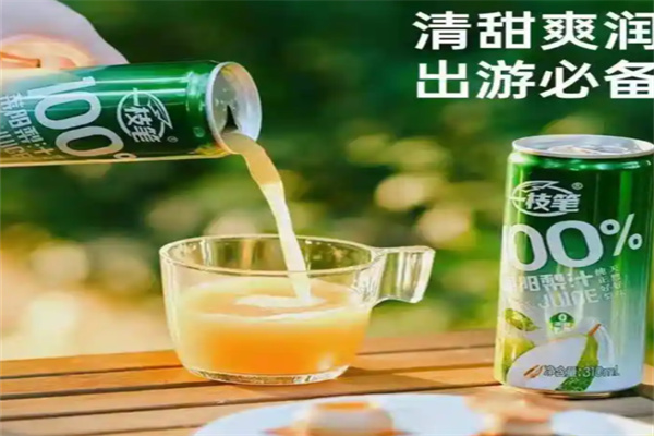 一枝笔莱阳梨汁