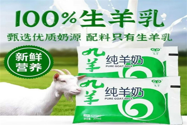 九羊羊奶