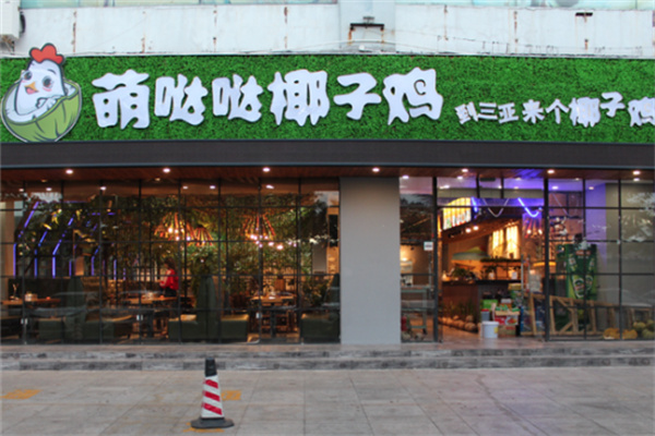 萌哒哒椰子鸡
