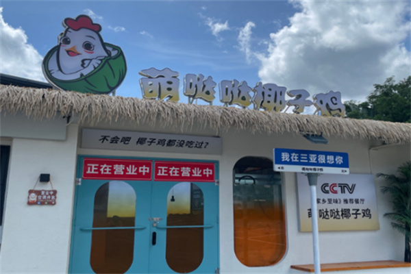 萌哒哒椰子鸡
