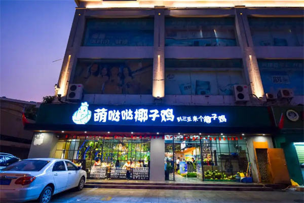 萌哒哒椰子鸡