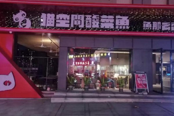 猫空间酸菜鱼