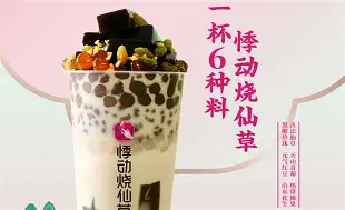 烧仙草奶茶店加盟多少钱