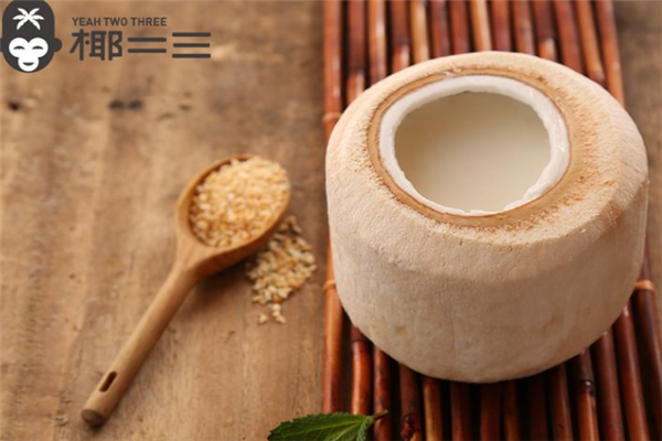椰二三手摇椰奶茶