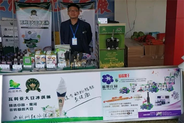 瓦利亚大豆冰淇淋