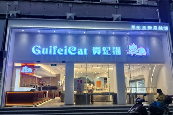 贵妃猫蛋糕