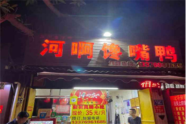 河啊馋嘴鸭