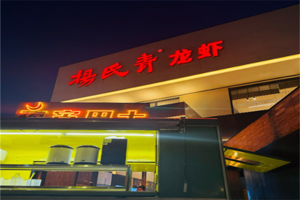 杨氏青龙虾