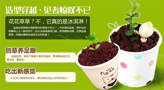 艺莎盆栽冰淇淋