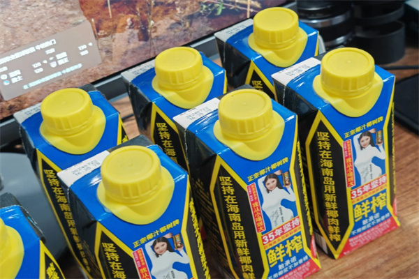 椰树椰汁饮品
