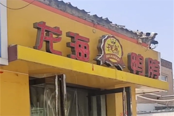 龙海鸭脖