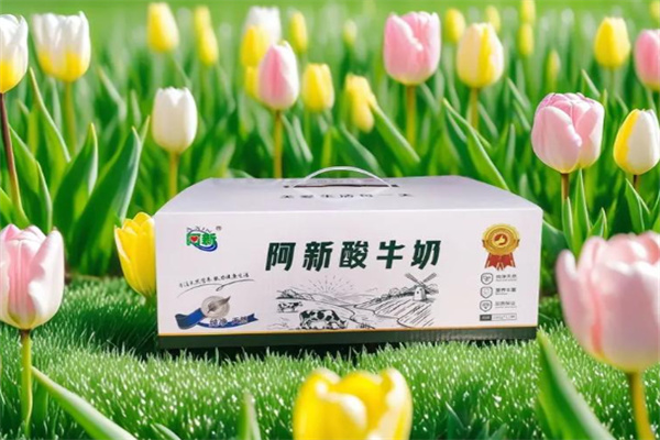 阿新老酸奶