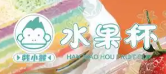 韩小猴水果杯