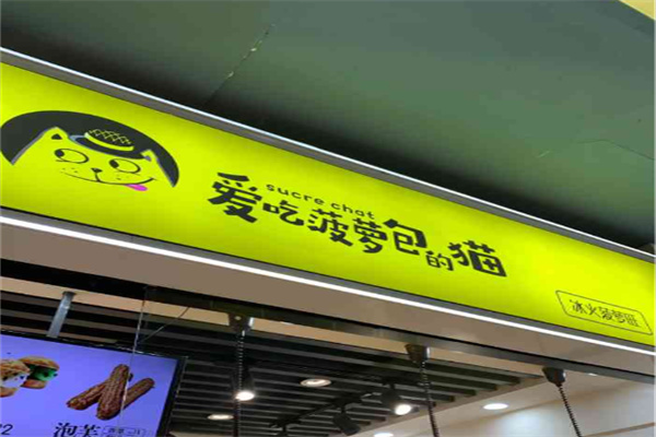 爱吃菠萝包的猫