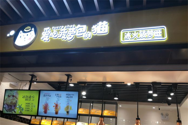 爱吃菠萝包的猫