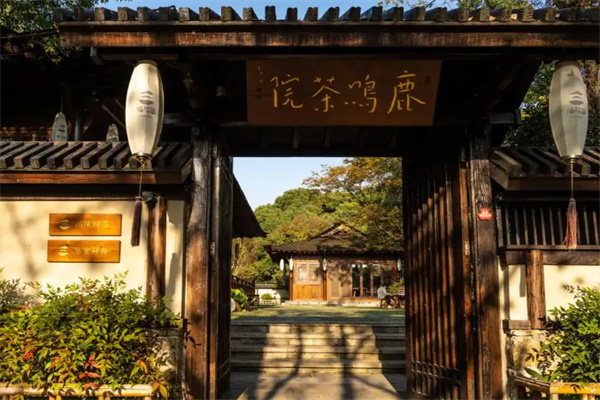 鹿鸣茶叶