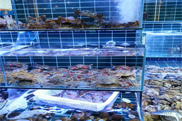 鲜活海鲜店