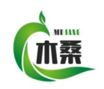 木桑轻食健身沙拉