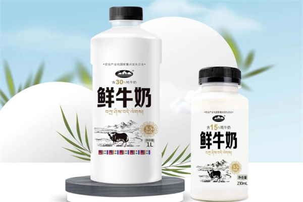 雪峰牦牛乳业