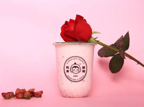 有米酸奶加盟费多少钱