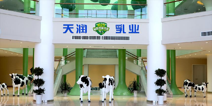 天润奶站怎么加盟