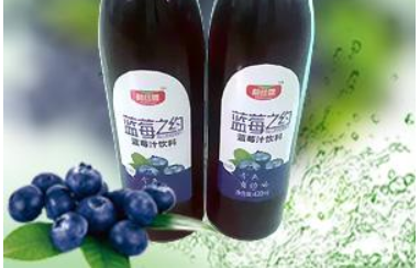 蓝莓之约休闲食品
